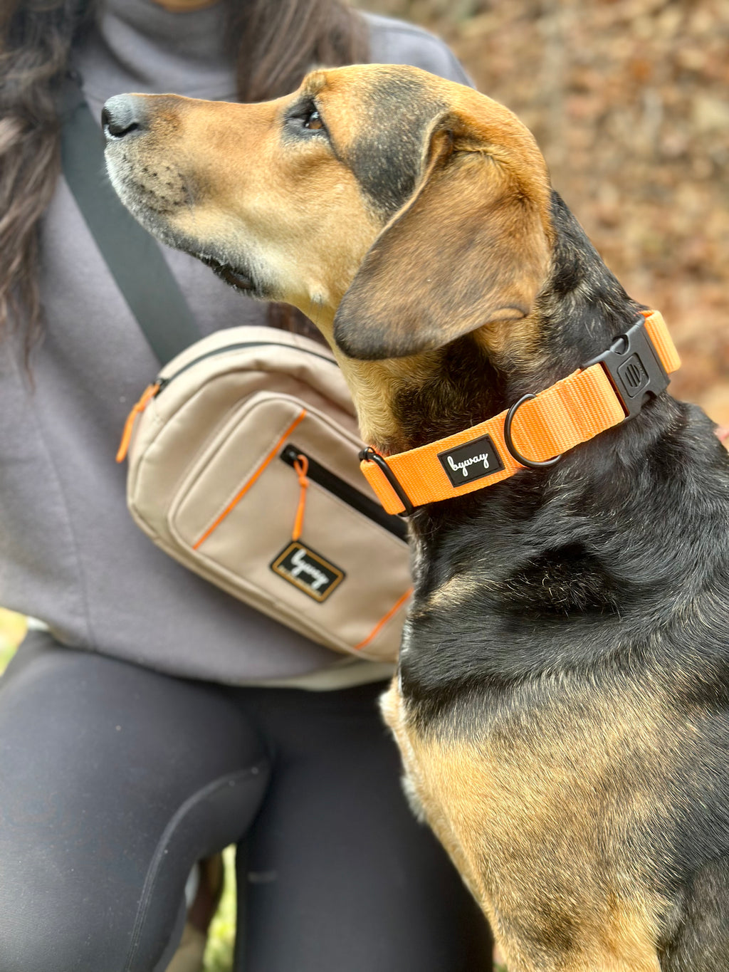 Harley Companion Pack