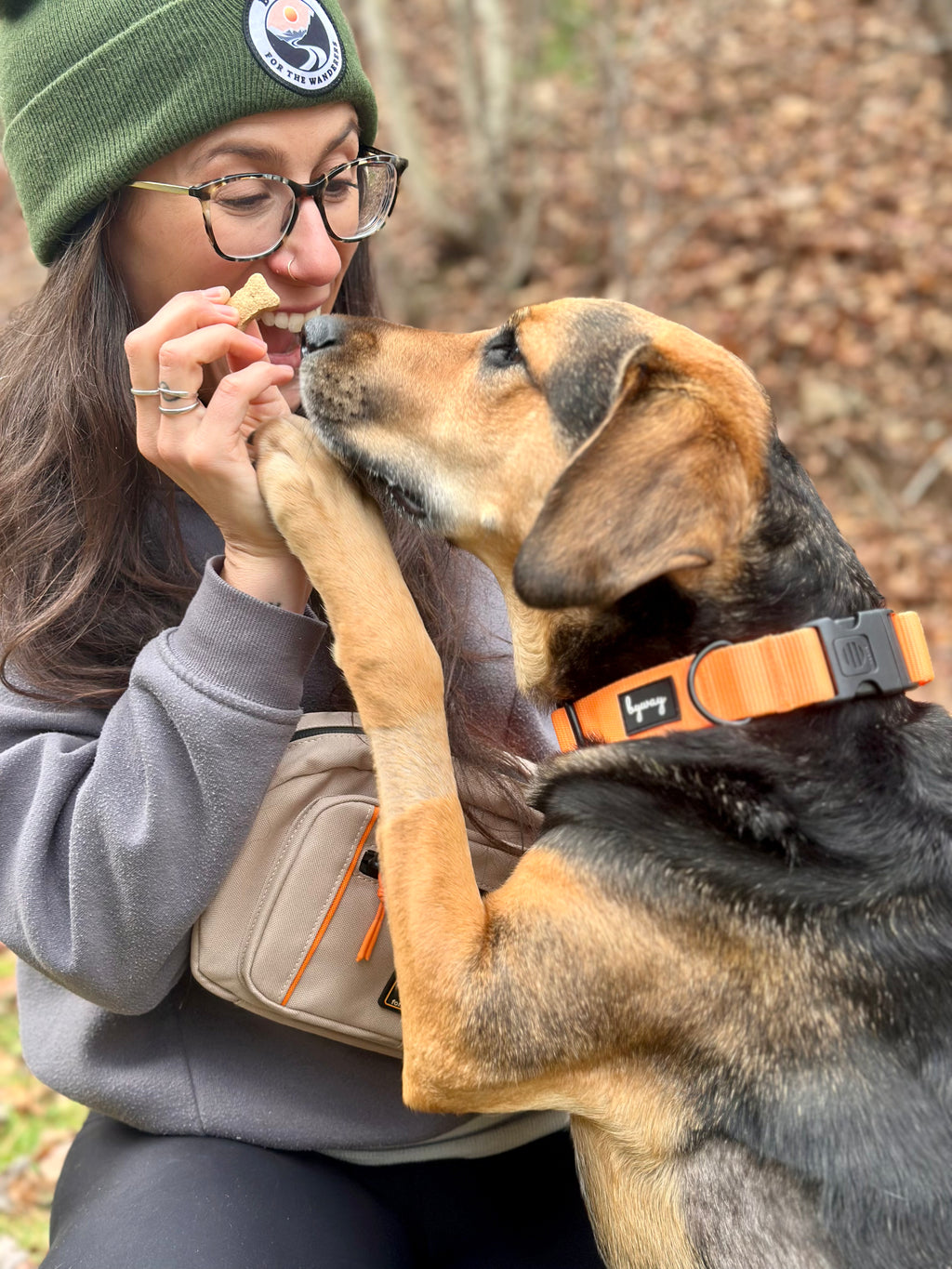 Harley Companion Pack